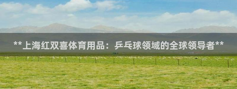 欧陆娱乐会员有什么用：**上海红双喜体育用品：乒乓球