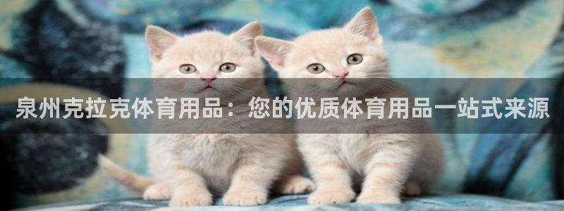 欧陆是什么平台：泉州克拉克体育用品：您的优质体育用品