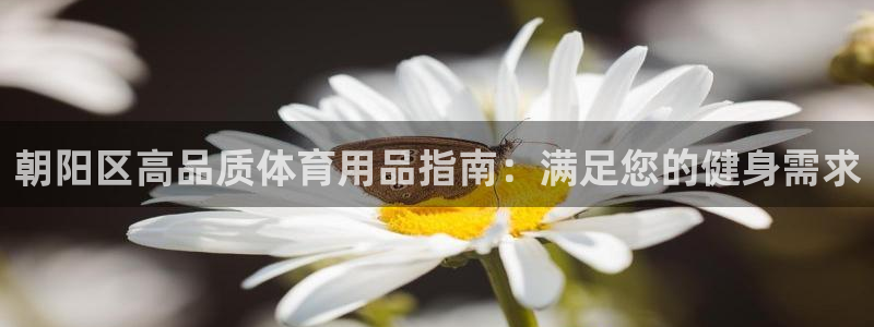 欧陆娱乐官网网址：朝阳区高品质体育用品指南：满足您的