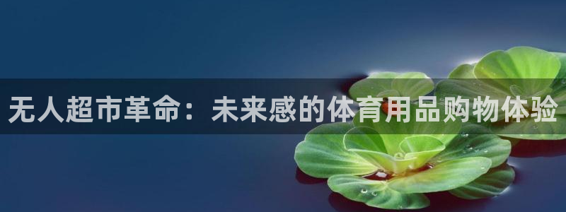 欧陆娱乐能提现嘛是真的吗：无人超市革命：未来感的体育