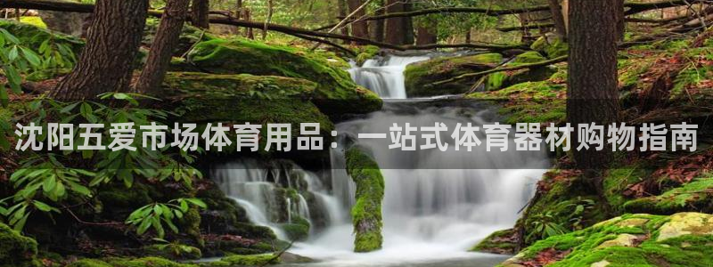欧陆娱乐出款了吗：沈阳五爱市场体育用品：一站式体育器