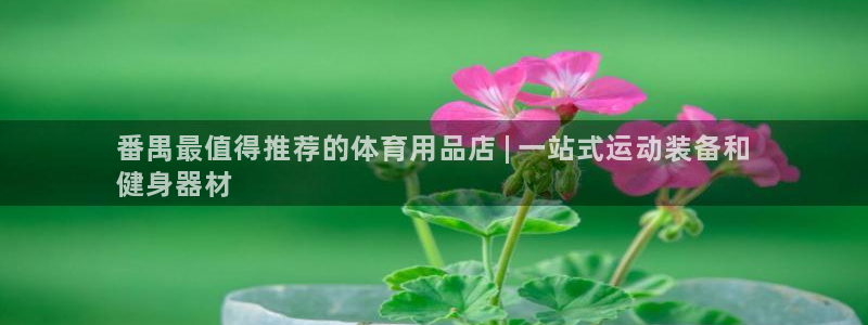 欧陆娱乐能提现嘛?：番禺最值得推荐的体育用品店 | 