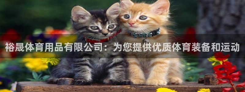 欧陆娱乐怎么注册会员的：裕晟体育用品有限公司：为您提