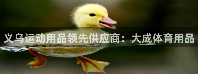欧陆娱乐app打不开怎么回事视频：义乌运动用品领先供