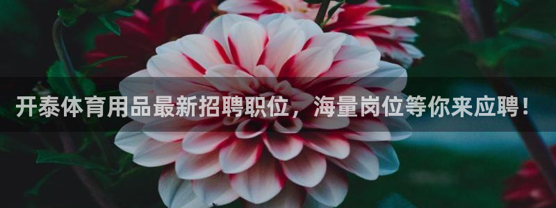 欧陆娱乐登录测速网站：开泰体育用品最新招聘职位，海量
