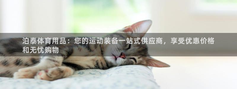 欧陆娱乐登录官网入口：泊泰体育用品：您的运动装备一站