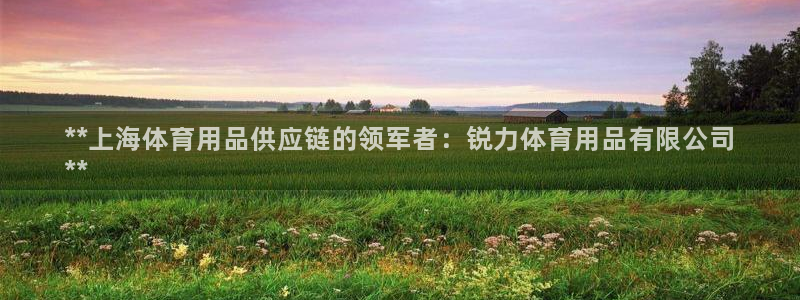 欧陆娱乐怎么注册会员的：**上海体育用品供应链的领军