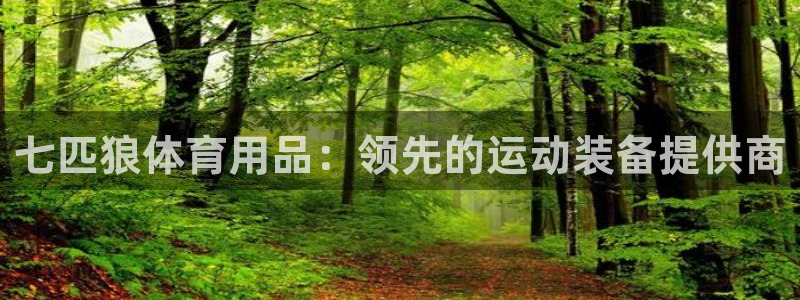 欧陆娱乐请输入USDT地址：七匹狼体育用品：领先的运