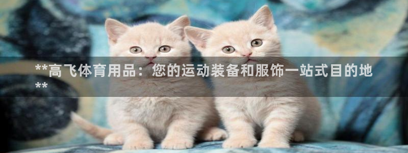 欧陆娱乐app打不开怎么回事：**高飞体育用品：您的