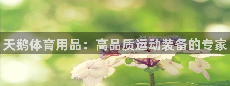 欧陆娱乐登陆官网网址：天鹅体育用品：高品质运动装备的
