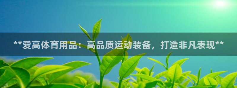 欧陆论坛：**爱高体育用品：高品质运动装备，打造非凡