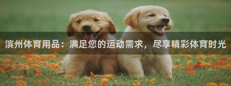 欧陆娱乐app下载安装：滨州体育用品：满足您的运动需