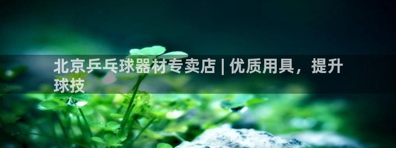 欧陆娱乐官网入口：北京乒乓球器材专卖店 | 优质用具