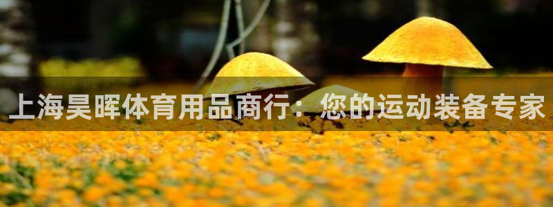 欧陆娱乐合法吗：上海昊晖体育用品商行：您的运动装备专