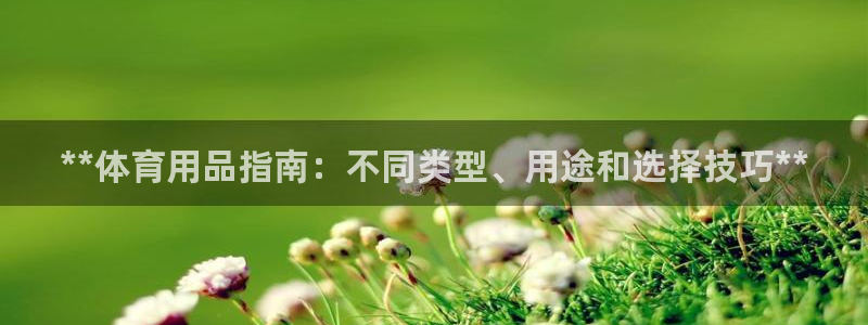 欧陆娱乐挂机怎么玩：**体育用品指南：不同类型、用途