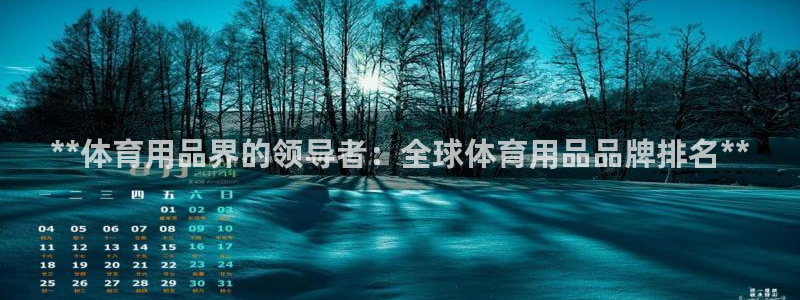 欧陆娱乐挂机项目怎么弄：**体育用品界的领导者：全球