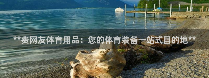 欧陆娱乐测试官网：**费网友体育用品：您的体育装备一