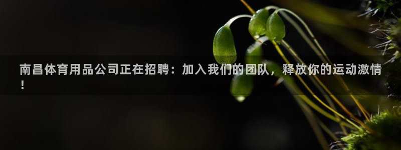欧陆娱乐客服电话号码：南昌体育用品公司正在招聘：加入