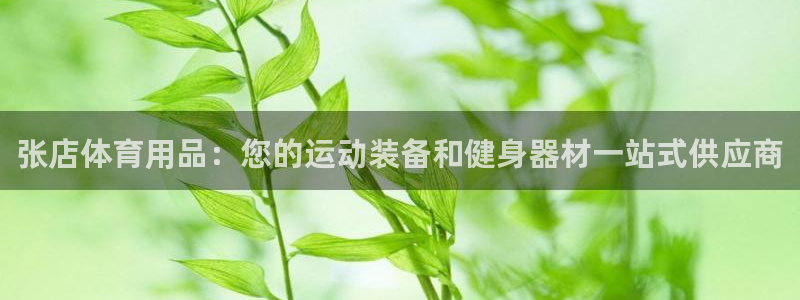 欧陆娱乐登陆平台下载：张店体育用品：您的运动装备和健