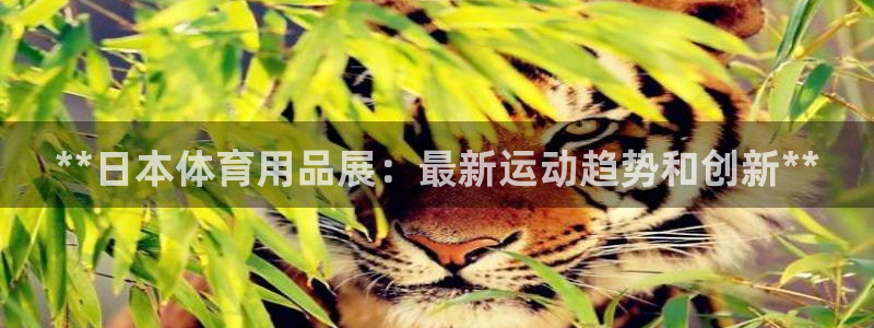 欧陆娱乐测试官网：**日本体育用品展：最新运动趋势和