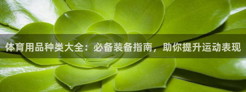欧陆娱乐能提现嘛现在：体育用品种类大全：必备装备指南