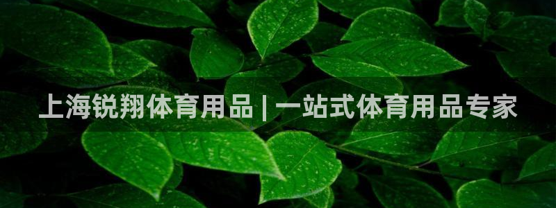 欧陆娱乐是资金盘吗：上海锐翔体育用品 | 一站式体育