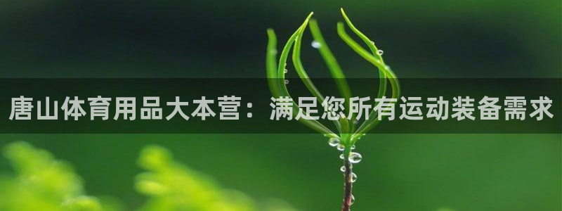 欧陆娱乐出款：唐山体育用品大本营：满足您所有运动装备