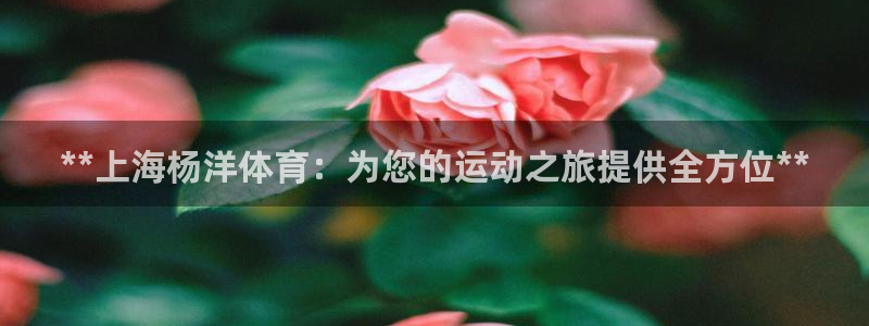 欧陆娱乐官网首页入口：**上海杨洋体育：为您的运动之