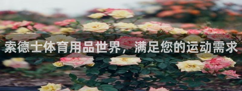 欧陆娱乐能提现嘛安全吗：索德士体育用品世界，满足您的