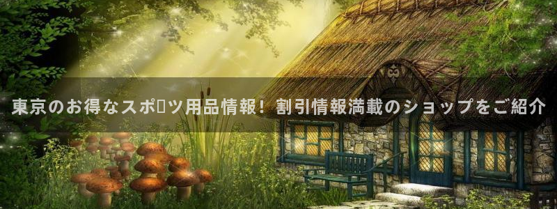 欧陆娱乐登录官网下载：東京のお得なスポーツ用品情報！