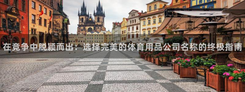 欧陆娱乐官网下载安装：在竞争中脱颖而出：选择完美的体