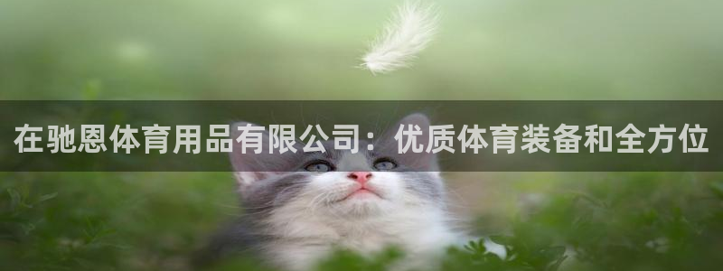 欧陆娱乐访问：在驰恩体育用品有限公司：优质体育装备和