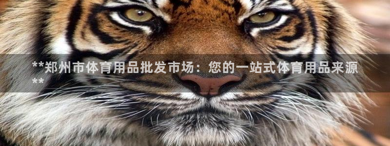 欧陆娱乐注册代理多少钱啊：**郑州市体育用品批发市场