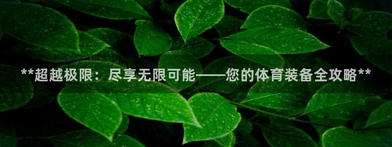 欧陆娱乐平台登录不上去怎么办：**超越极限：尽享无限