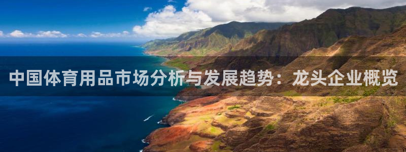 欧陆娱乐官网网址大全：中国体育用品市场分析与发展趋势