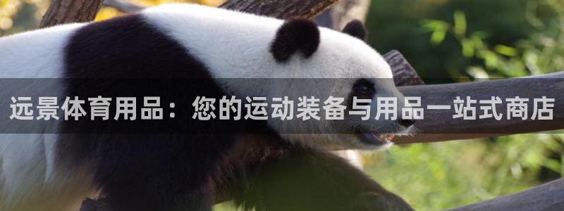 欧陆娱乐代理 贴吧是真的吗：远景体育用品：您的运动装