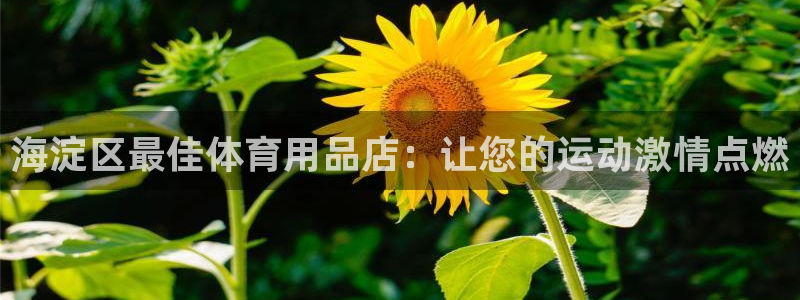 欧陆娱乐信誉吗：海淀区最佳体育用品店：让您的运动激情