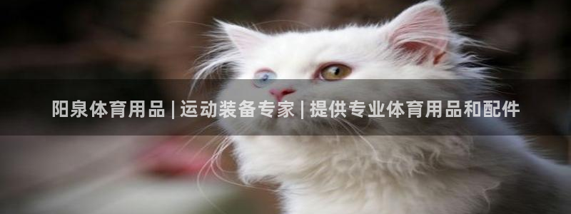 欧陆娱乐脚本下载：阳泉体育用品 | 运动装备专家 |
