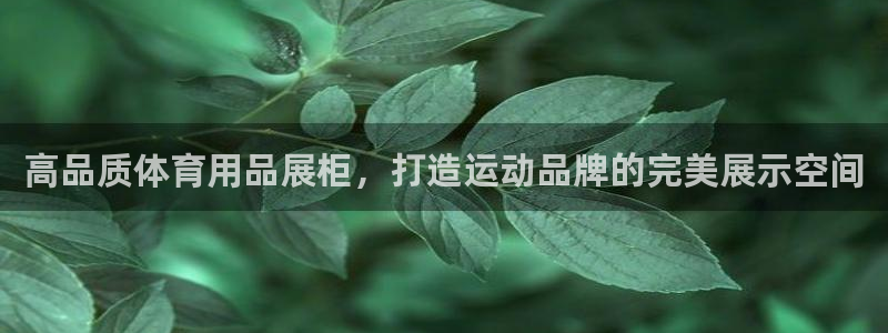欧陆娱乐平台咋样啊：高品质体育用品展柜，打造运动品牌