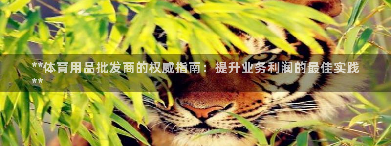 欧陆娱乐讲7O777：**体育用品批发商的权威指南：