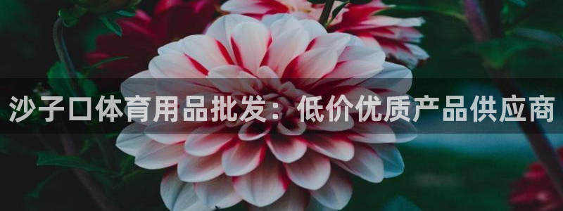 欧陆娱乐是正规吗?：沙子口体育用品批发：低价优质产品