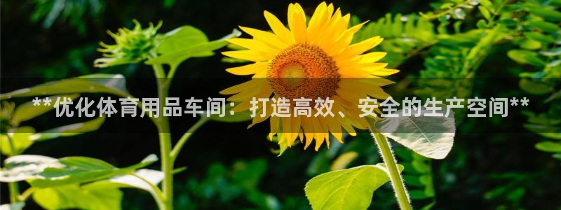 欧陆娱乐注册平台：**优化体育用品车间：打造高效、安