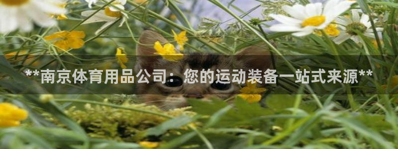 欧陆娱乐是正规平台吗安全吗知乎文章：**南京体育用品