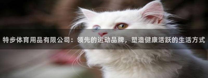 欧陆注册码：特步体育用品有限公司：领先的运动品牌，塑
