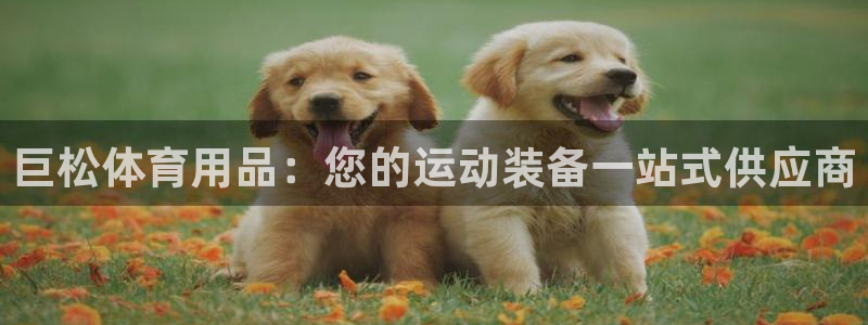 欧陆娱乐测速软件下载：巨松体育用品：您的运动装备一站