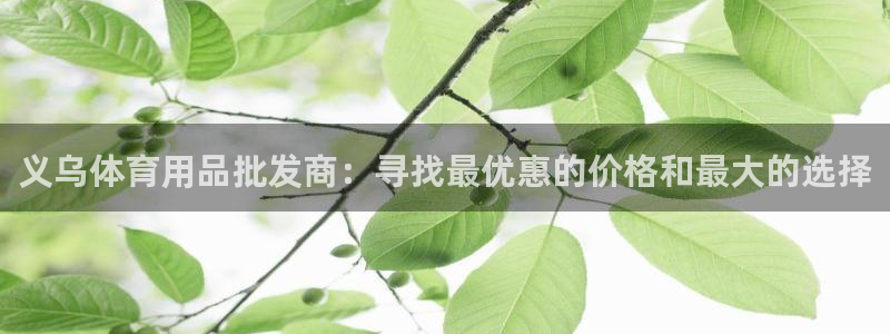 欧陆娱乐信誉如何：义乌体育用品批发商：寻找最优惠的价