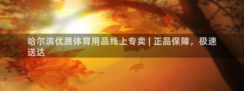 欧陆娱乐会员有什么用：哈尔滨优质体育用品线上专卖 |