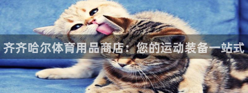 欧陆娱乐天富主管：齐齐哈尔体育用品商店：您的运动装备