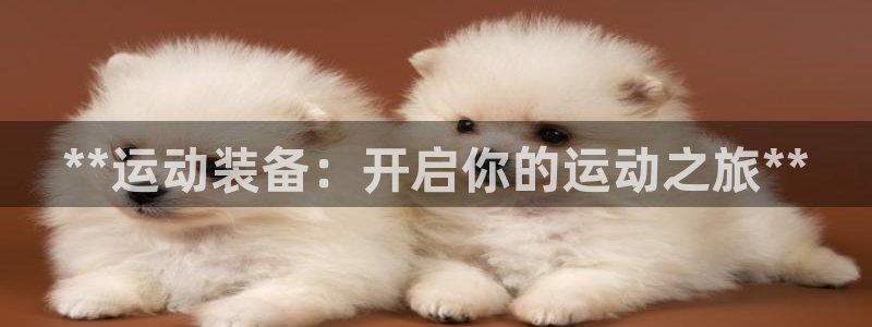 欧陆娱乐公司产品介绍怎么写：**运动装备：开启你的运