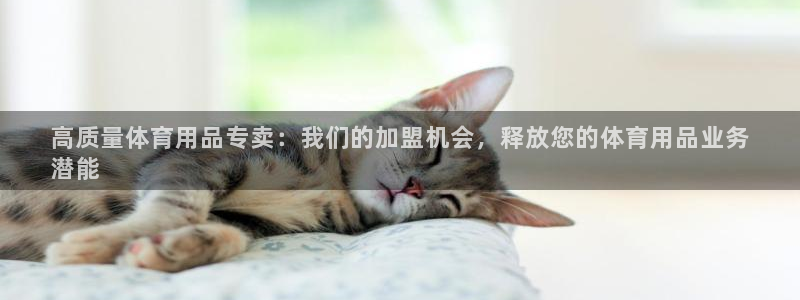 重庆欧陆娱乐有限公司：高质量体育用品专卖：我们的加盟
